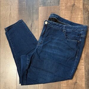 Lane Bryant Women's Dark Blue Skinny‎ Jeans